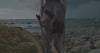 home page video
